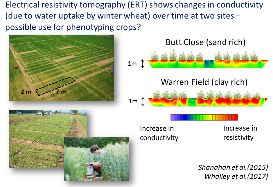Soil water variability